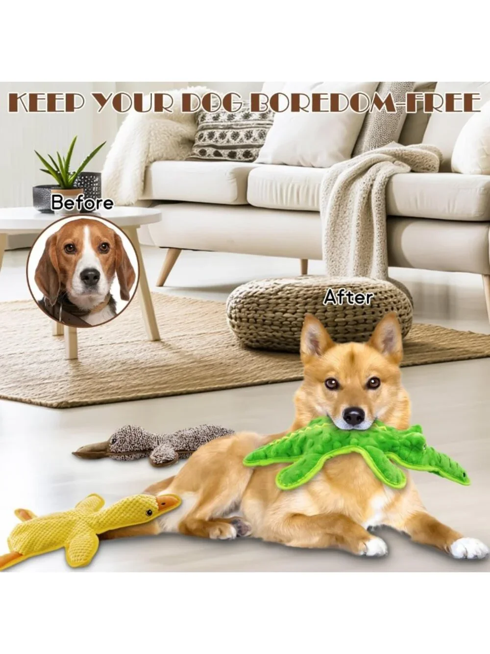 Durable No Stuffing Dog Squeaky Chew Toys - 3 Pack for All Breeds, Fun Gift!
